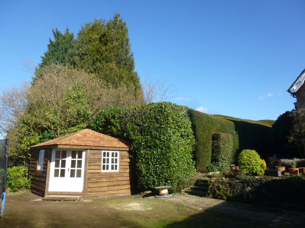 Guildford - Bespoke Garden Studio