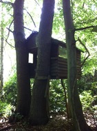 Treehouse surrey