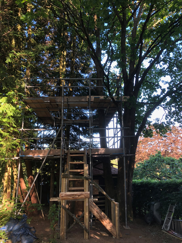 Building a Bespoke Cedar Tree House Surrey